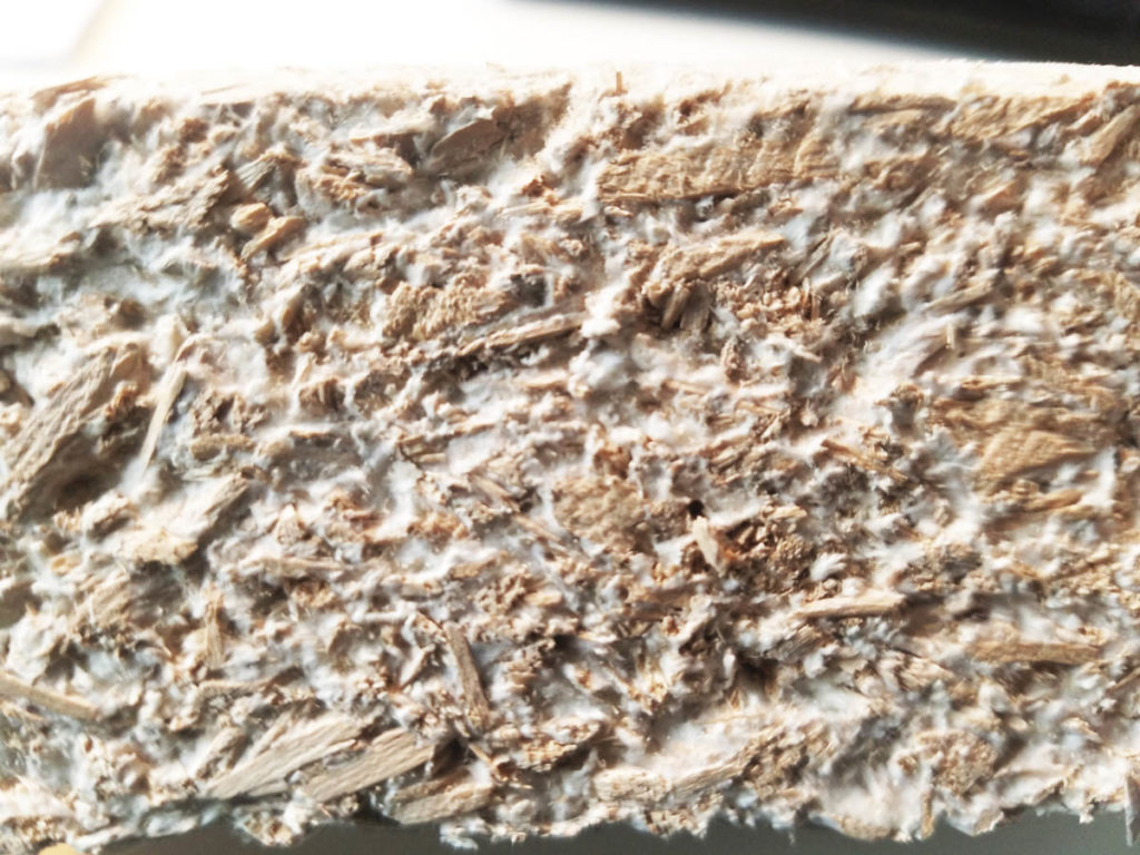 Xbrick-bywd3-material-iteration-mycelium Close up