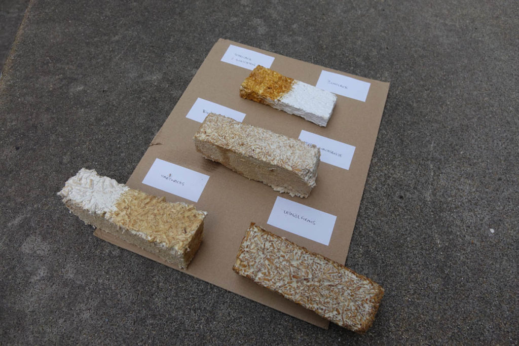 Xbrick-bywd3-material-iteration-mycelium Material