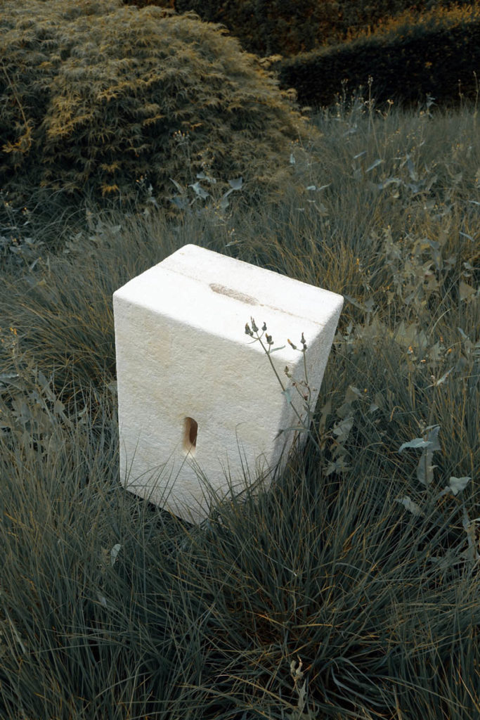 Xbrick-bywd3-material-iteration-mycelium gras